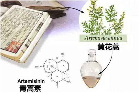 huaqiu华球平台（中国）集团,：向中医药看齐，与世界共享中医药文化(图1)